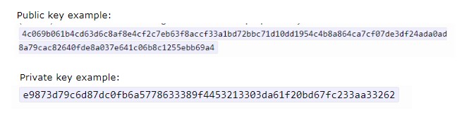 Bitcoin wallet public key and private key examples
