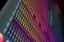 Passwordless Authentication with Protectimus DSPA: How it Works