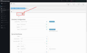 Protectimus DSPA setup - automatic user synchronization